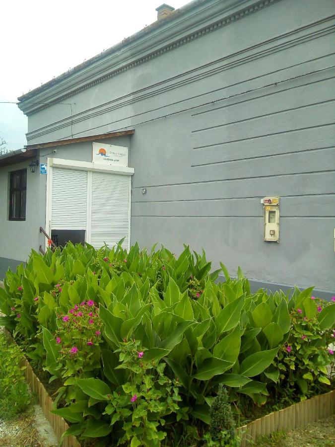 Dráva Völgye Vendégház Zakany Exterior foto